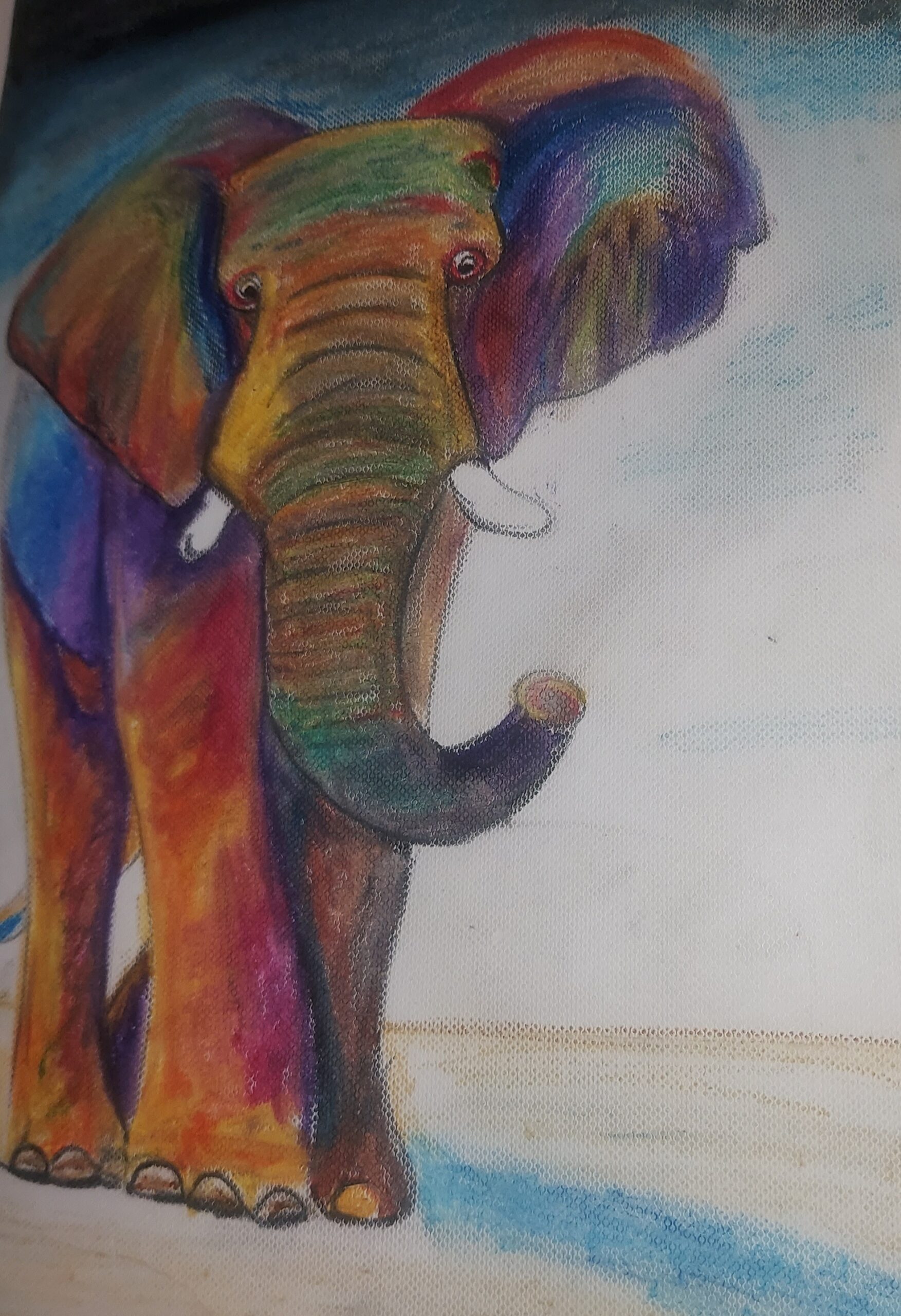 Elephant