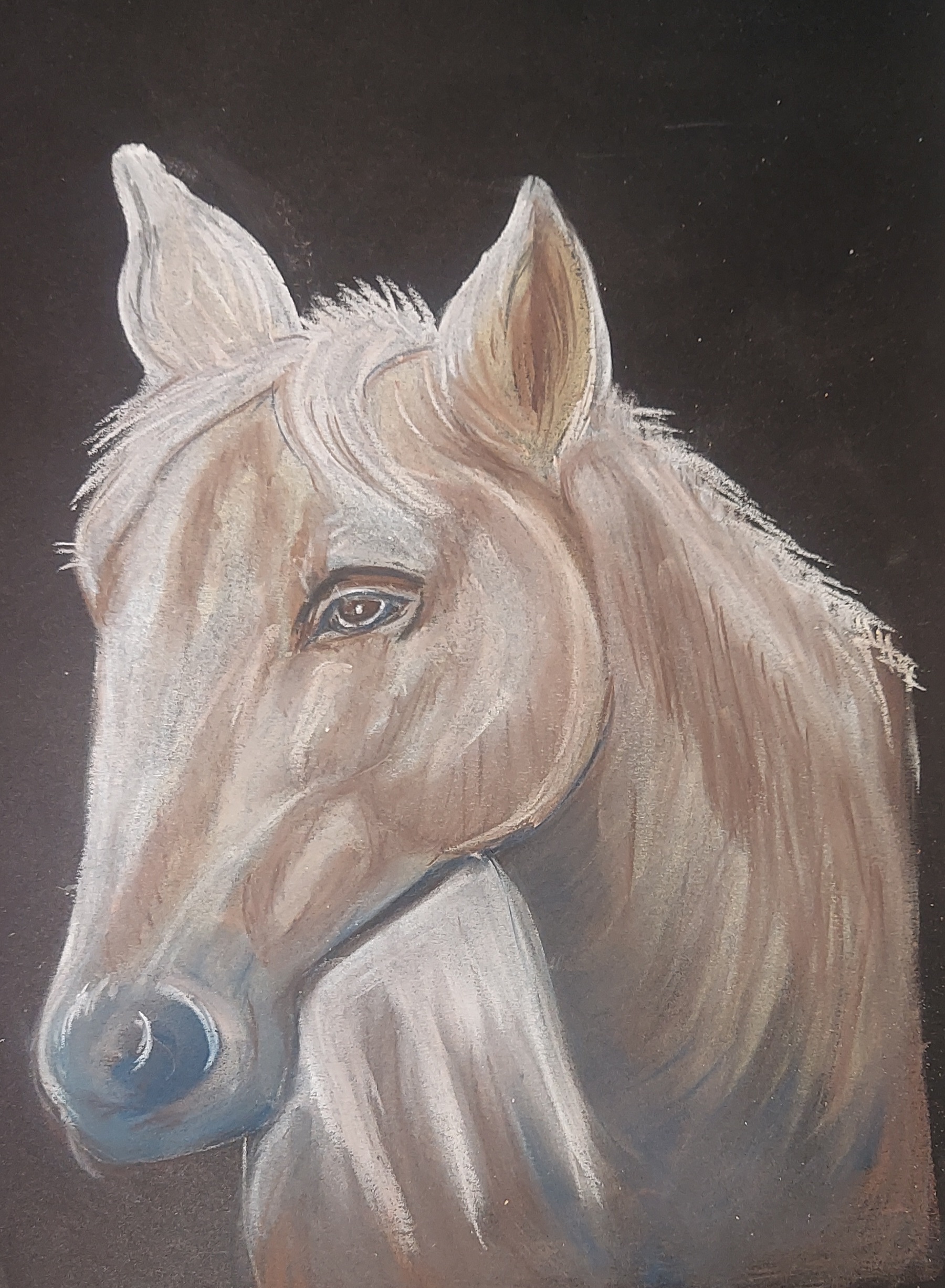 Horse with Pastels